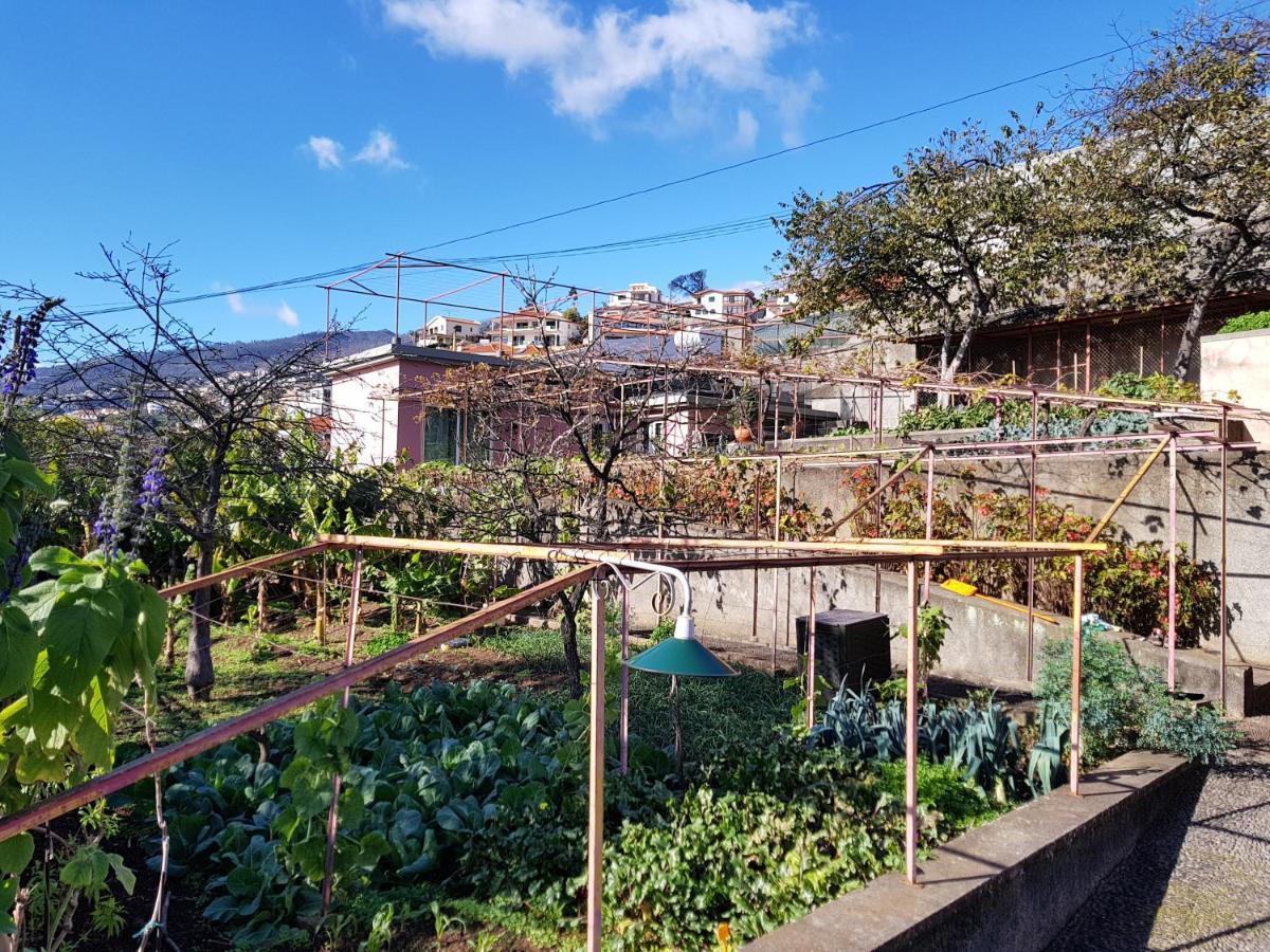 フンシャルQuinta Do Bom Sucessoアパートメント エクステリア 写真
